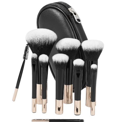 Set de 10 Pinceaux de Maquillage de Voyage